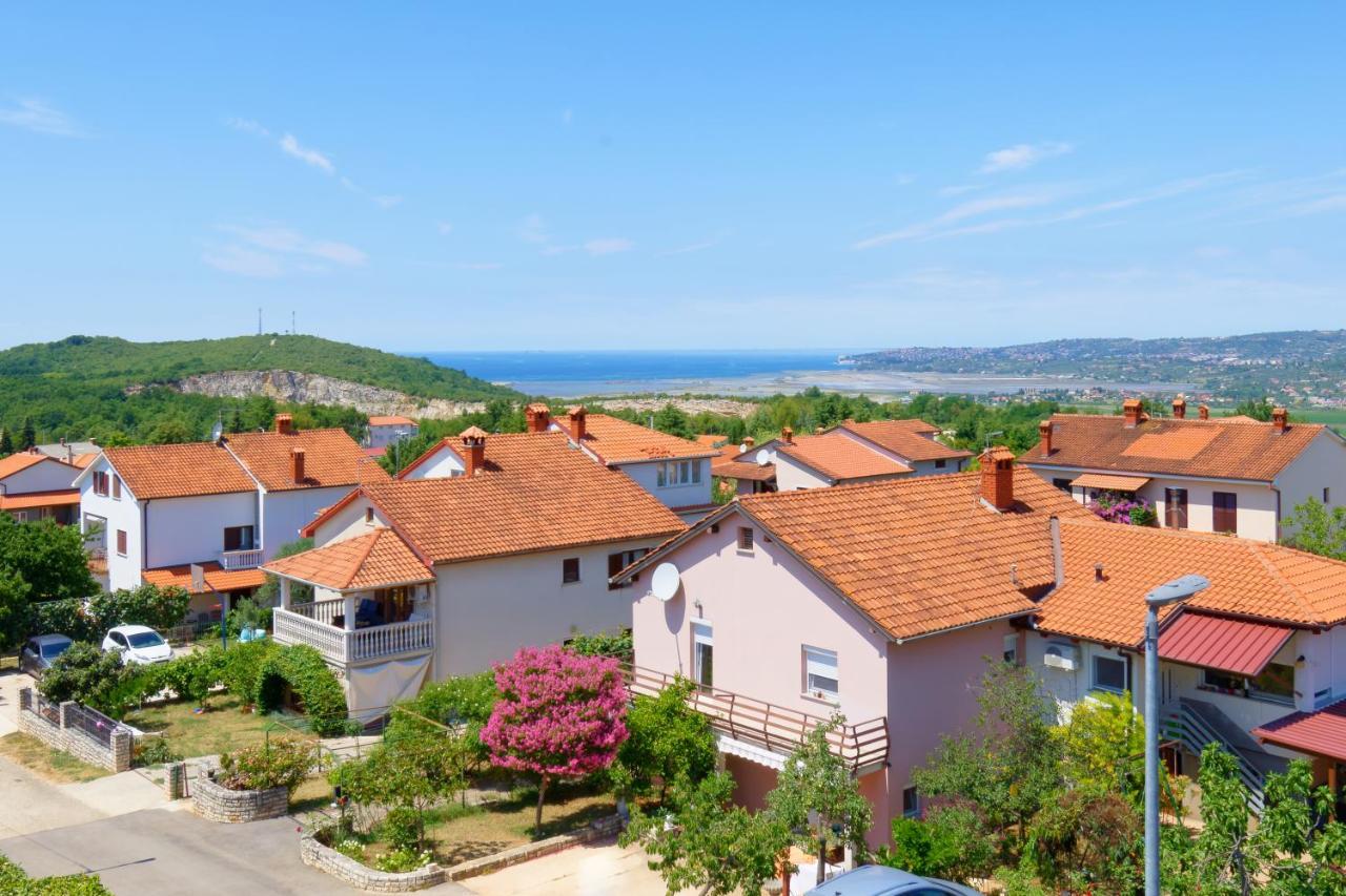 Apartments Belvedere By Rent Istria Plovanija Exterior photo
